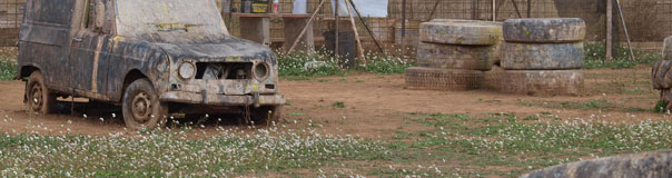 Campo Desguace